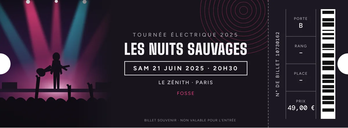 Exemple de billet de concert souvenir Print My Ticket au format 190 × 70 mm, avec photo, artiste, tournée, salle, date et talon détachable
